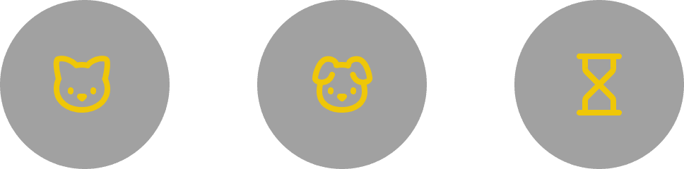 Miau Home Image